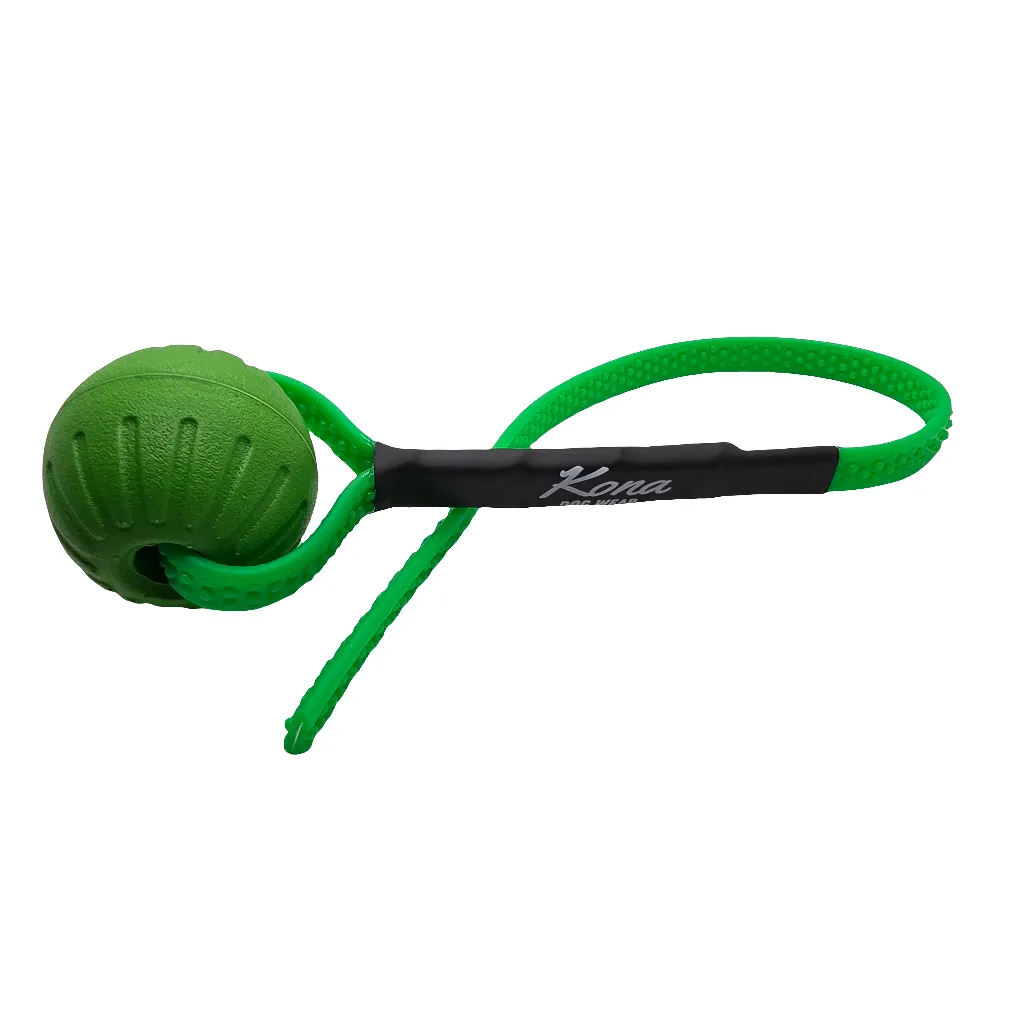Grizzly Tug Toy