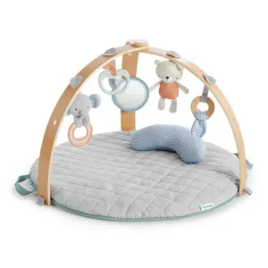 InGenuity Cozy Spot Reversible Duvet Activity Gym