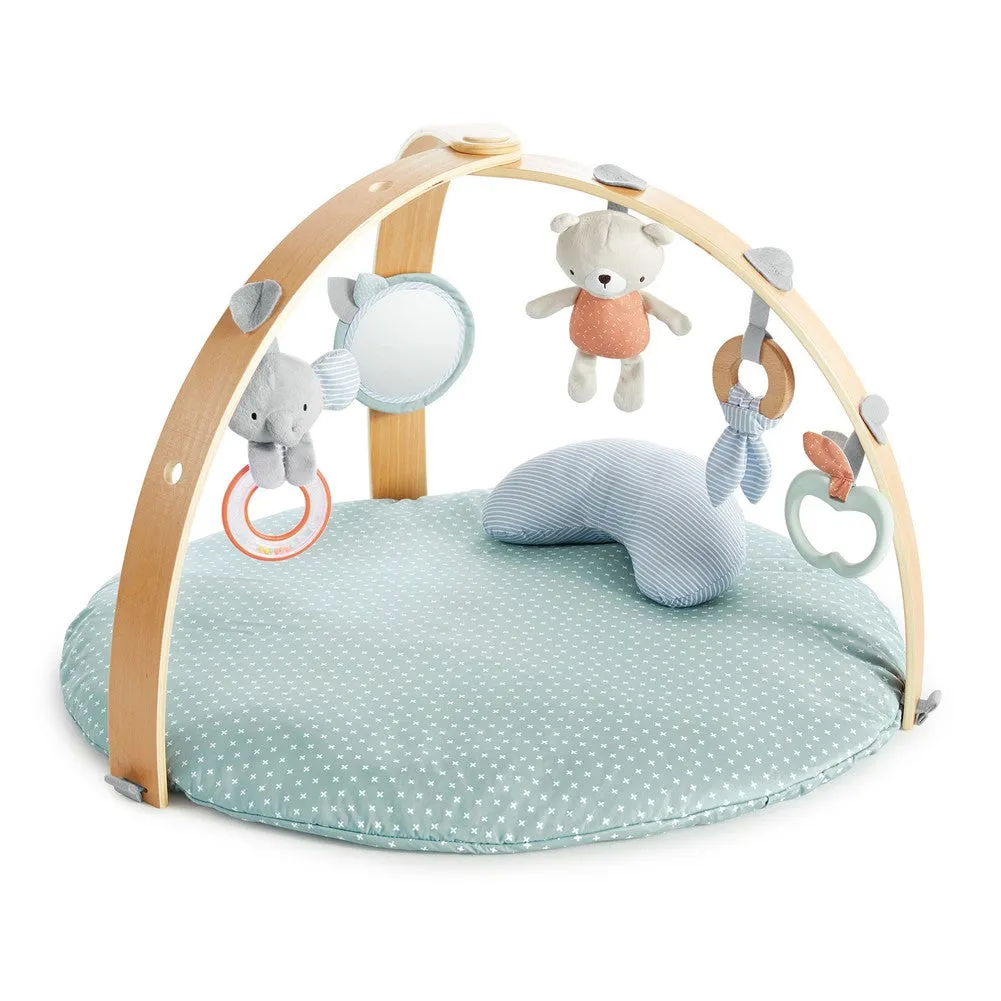InGenuity Cozy Spot Reversible Duvet Activity Gym