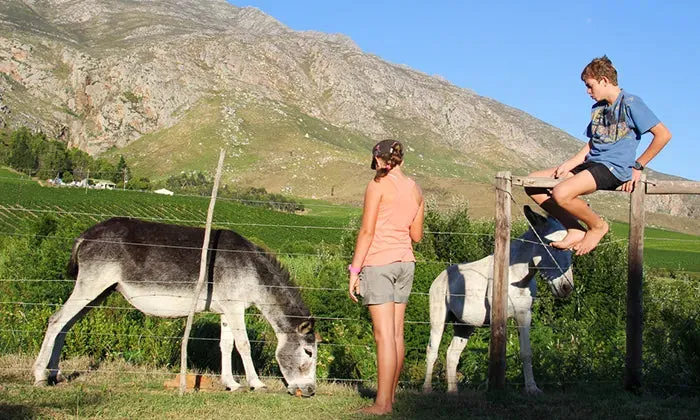 Western Cape: 1 or 2-Night self-catering stay for up to four at Bonfrutti